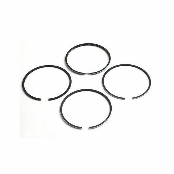 Piston Ring Set Ford New Holland Chalmers 7600 7500 7200 7100 755 750 F161147