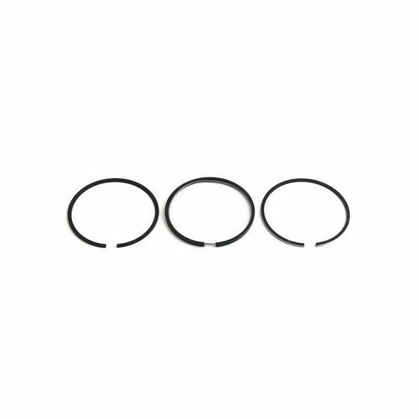 Piston Ring Set Ford Holland TS90 555E 655E LS190 Skid Loader LX985 F87801096