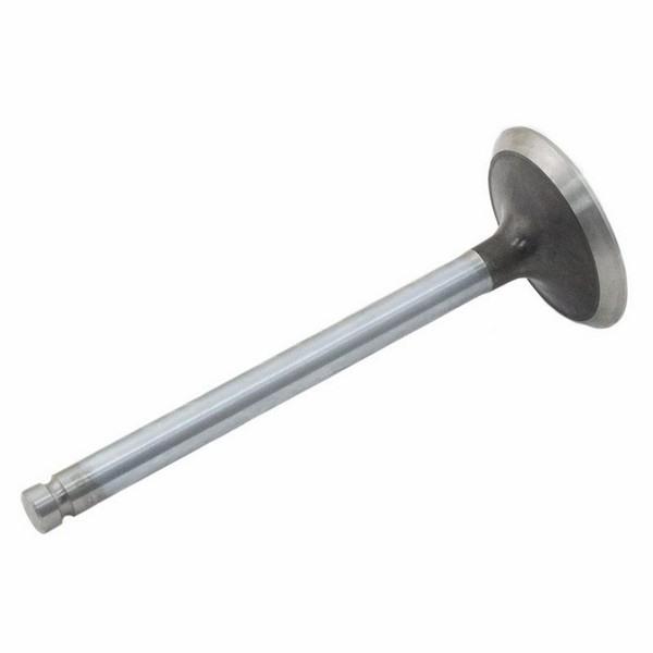 Intake Valve for Perkins Hyster Scat Trak Massey Ferguson Ford New Holland