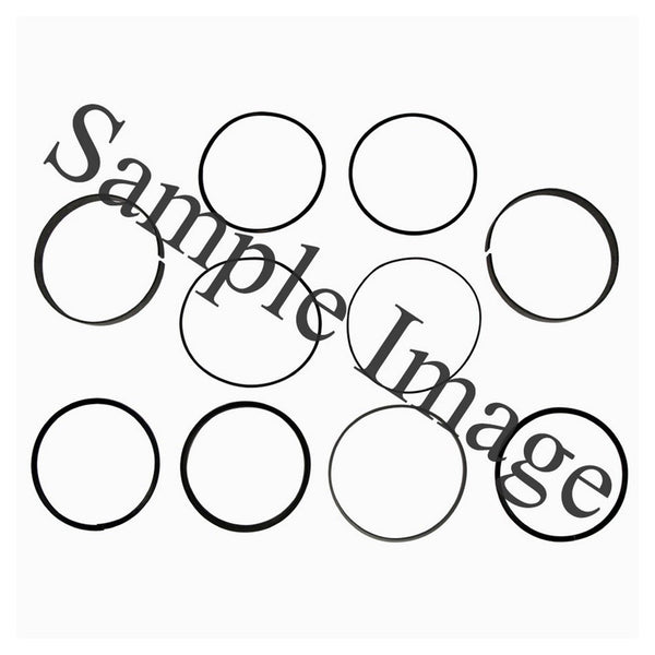 3001-1600, Hydraulic Cylinder Seal Kit