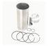 3638883M91 Piston Ring Liner Kit Fits Ferguson 135 140 148 150 152 154 154-4 155