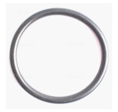 34490 O Ring  1166033