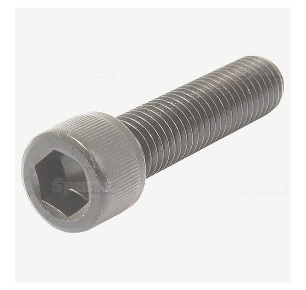 11695 Socket Head Screwnew