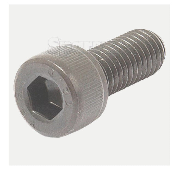 11661 Screw Cap 10 X 25 Mm X 1.25