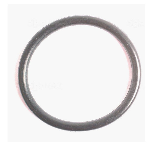 14239 O Ring  2018