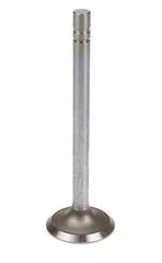 Intake Valve Fits John Deere 3020 4020 Tractor