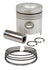 Piston With Rings Standard Ford 8000 8200 8600 8700 TW10 Tractor