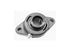 2 Hole Flange W/1-1/4" Bearing Wgtz20L-Imp Vcjt1-1/4S Saft20620 Safl20620