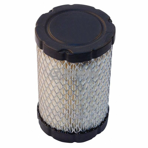 Air Filter / Briggs & Stratton 591334