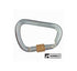 Carabiner-Rescue-Screw-Stainless B1Ab411