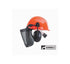 Forestry Helmet Visor And Ear Muffs B1Ac172