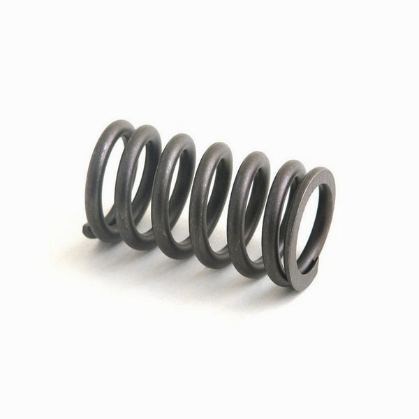 Valve Spring for Case Case IH Ferguson White Allis Chalmers Cummins