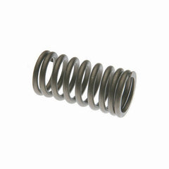 Valve Spring for Case Case IH, SC SE S SI SO Gas LPG