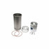 Cylinder Kit for Case (Case IH), Diesel 1170 1175 1270 Tractor