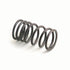 Valve Spring for Perkins Ford New Holland Hesston Ferguson Landini M31745121