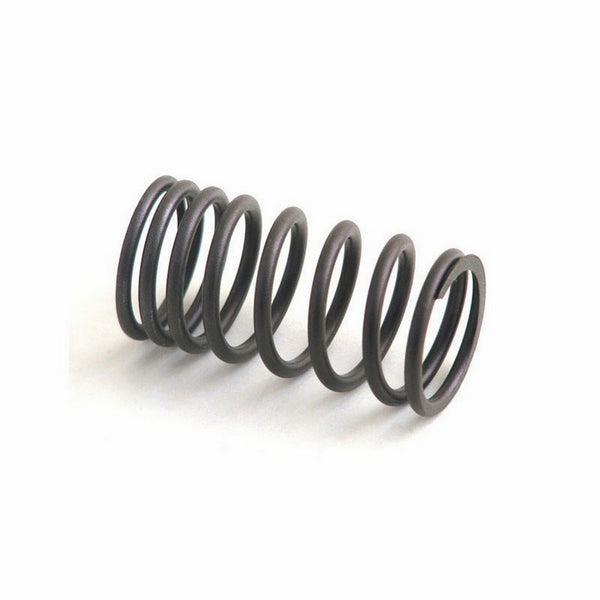 Valve Spring for Perkins Ford New Holland Hesston Ferguson Landini M31744131