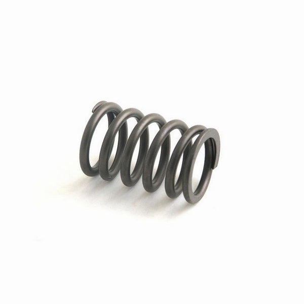 Valve Spring for Ford New Holland Allis Chalmers, 2310 3120 3100 2120 3055 3330