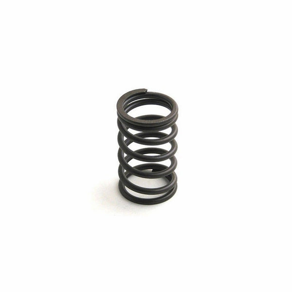 Valve Spring for Perkins Ford New Holland Ferguson, Diesel L555 Skid M0780144