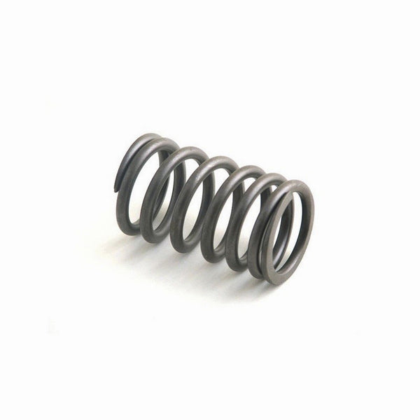 Valve Spring for Ford New Holland Versatile, Diesel 2550 Windrower TS100 7740