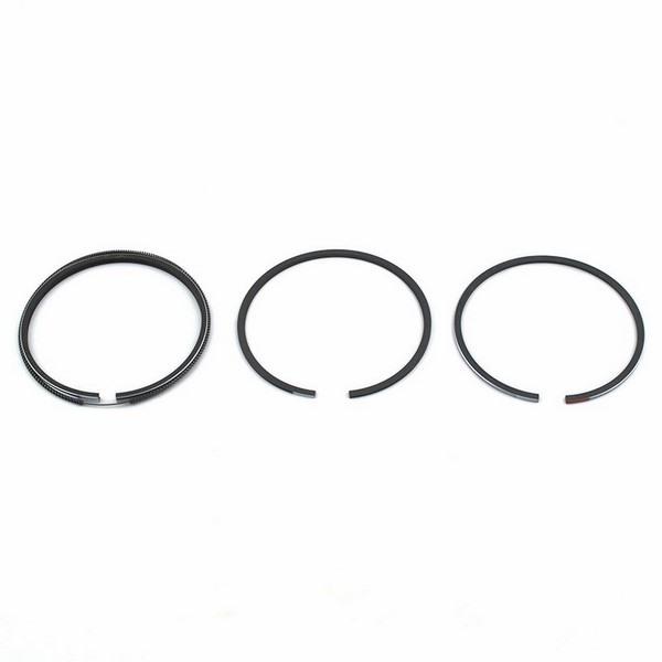 Piston Ring Set Ford New Holland 2120 2300 3100 3000 2110 2000 3055 2100 F161187