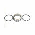 Piston Ring Set Fits Ford Holland Case (Case IH) Continental Deere L554 RP181447
