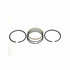 Piston Ring Set Fits Ford Holland Case (Case IH) Continental Deere L554 RP181446