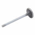 Intake Valve for International, Diesel