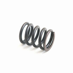 Valve Spring for Perkins Massey Ferguson McCormick Landini Case (Case IH)