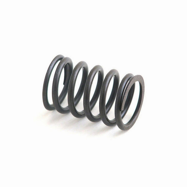 Valve Spring for Perkins Ferguson Landini Scat Trak Jacobsen Turf Ford M31744133