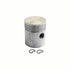Piston for Minneapolis Moline Oliver, Gas LPG GB G GTC GTB G1350 G704 G1000 G706
