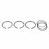 Piston Ring Set Fits Vermeer Wisconsin Case (Case Ih) International John Deere