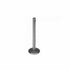 Intake and Exhaust Valve for Continental Massey Ferguson, Gas LPG TE20 TO20