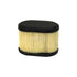 Filter Air Bands  790166 Briggs and Stratton