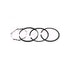 Ring Piston Set .010 Bands 391670 Briggs and Stratton