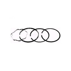 Ring Piston Set .010 Bands 391670 Briggs and Stratton