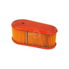 Air Filter 795066 Briggs and Stratton