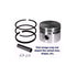 Piston Assembly .010 Bands 298905 Briggs and Stratton