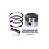 Piston Assembly .020 Bands 298906 Briggs and Stratton
