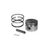Piston Assembly (Std) Hondag X 160 36-243 Oregon