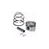 Piston Assembly Bands 391675 Briggs and Stratton