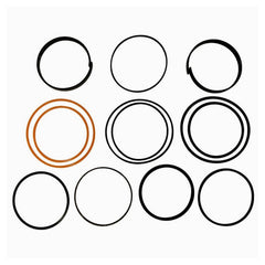 Hydraulic Cylinder Seal Kit fits John Deere Models Listed Below AH149846