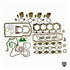 Engine Rebuild Kit Ford New Holland 256 Eng 4830 5000 5030 5100 555C 555D 5600