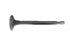 Exhaust Valve For Kohler 237672S Kohler