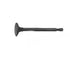 Valve Exhaust Honda 14721-Ze3-000 Honda